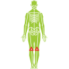 knee arthritis example