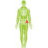 Trochanteric bursitis example